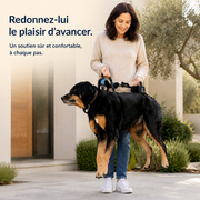 Harnais de soutien intégral pour chien – ÉlanPattes™