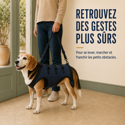 Harnais de soutien intégral pour chien – ÉlanPattes™