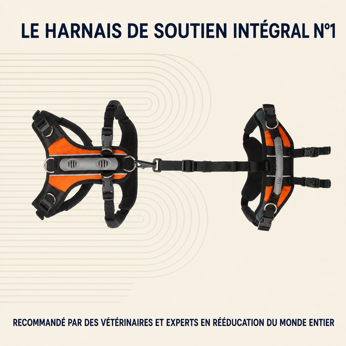 Harnais de soutien intégral pour chien – ÉlanPattes™