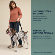 Harnais de soutien intégral pour chien – ÉlanPattes™