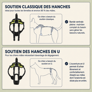 Harnais de soutien intégral pour chien – ÉlanPattes™