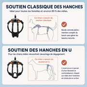 Harnais de soutien intégral pour chien – ÉlanPattes™