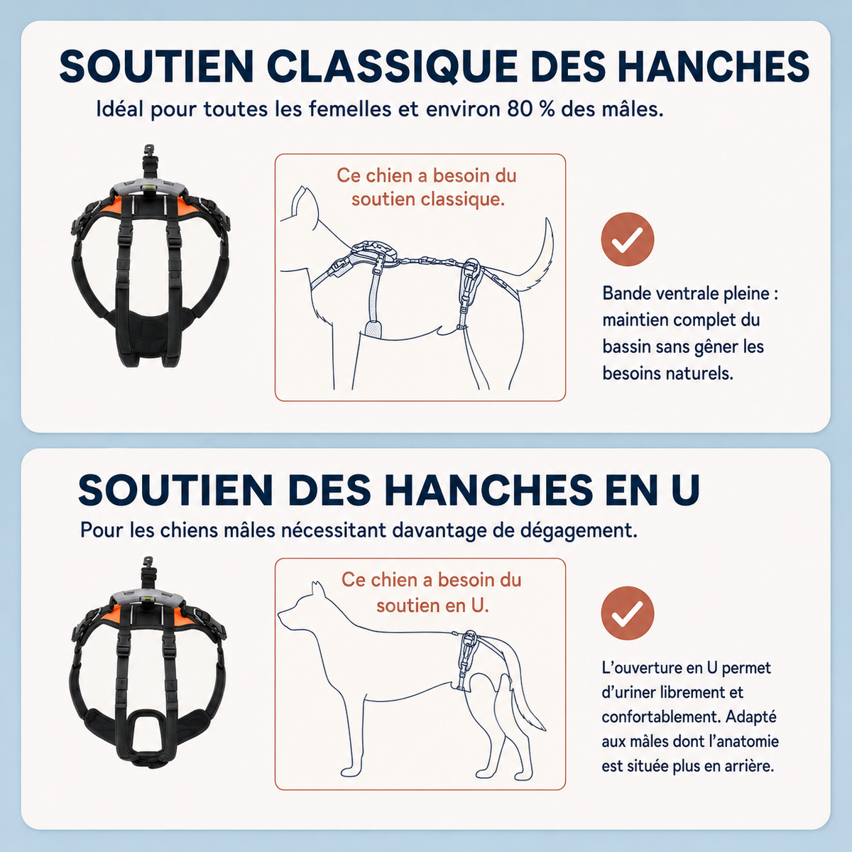 Harnais de soutien intégral pour chien – ÉlanPattes™