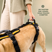 Harnais de soutien intégral pour chien – ÉlanPattes™