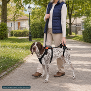 Harnais de soutien intégral pour chien – ÉlanPattes™