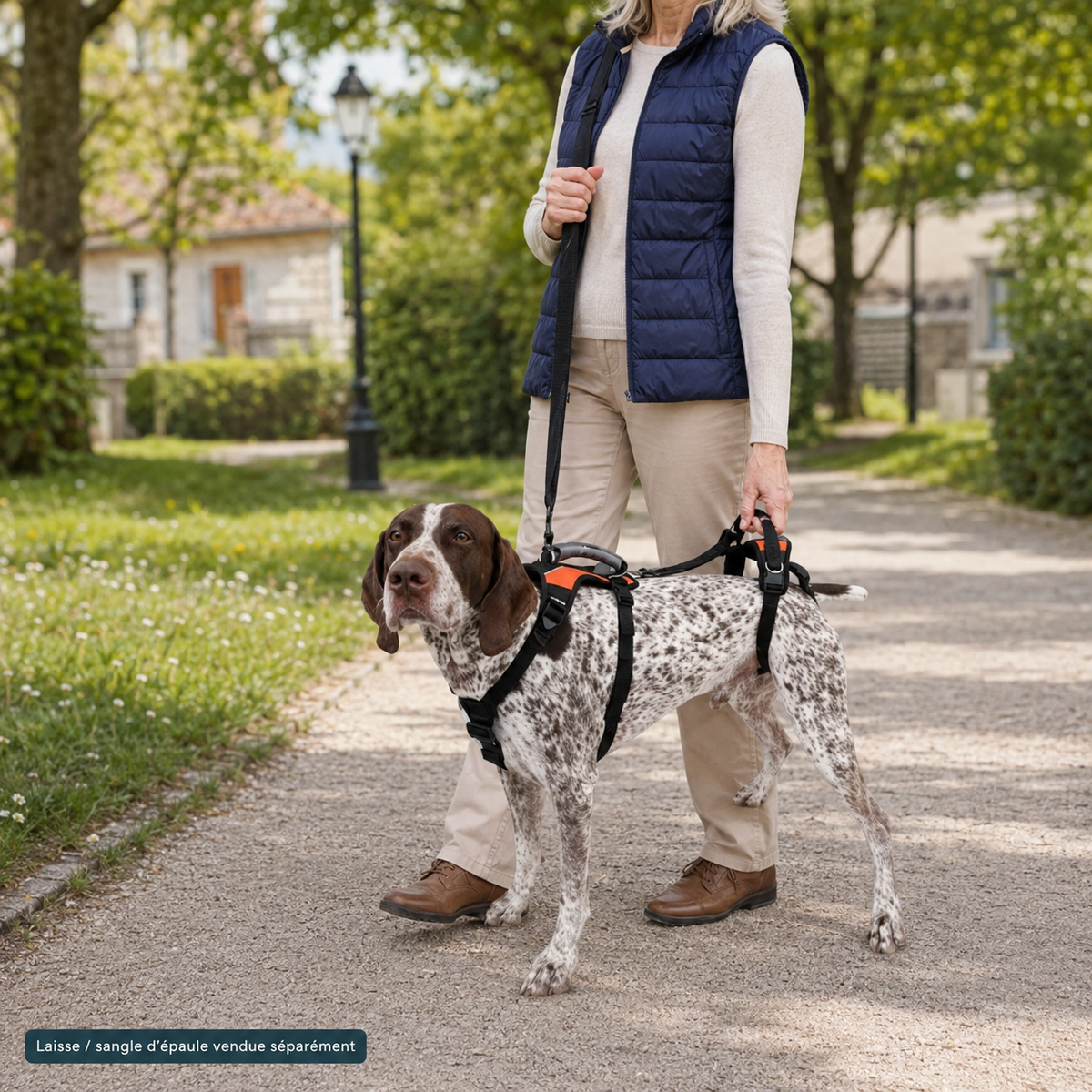 Harnais de soutien intégral pour chien – ÉlanPattes™