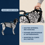 Harnais de soutien intégral pour chien – ÉlanPattes™