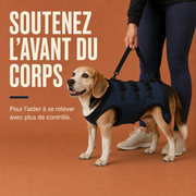 Harnais de soutien intégral pour chien – ÉlanPattes™