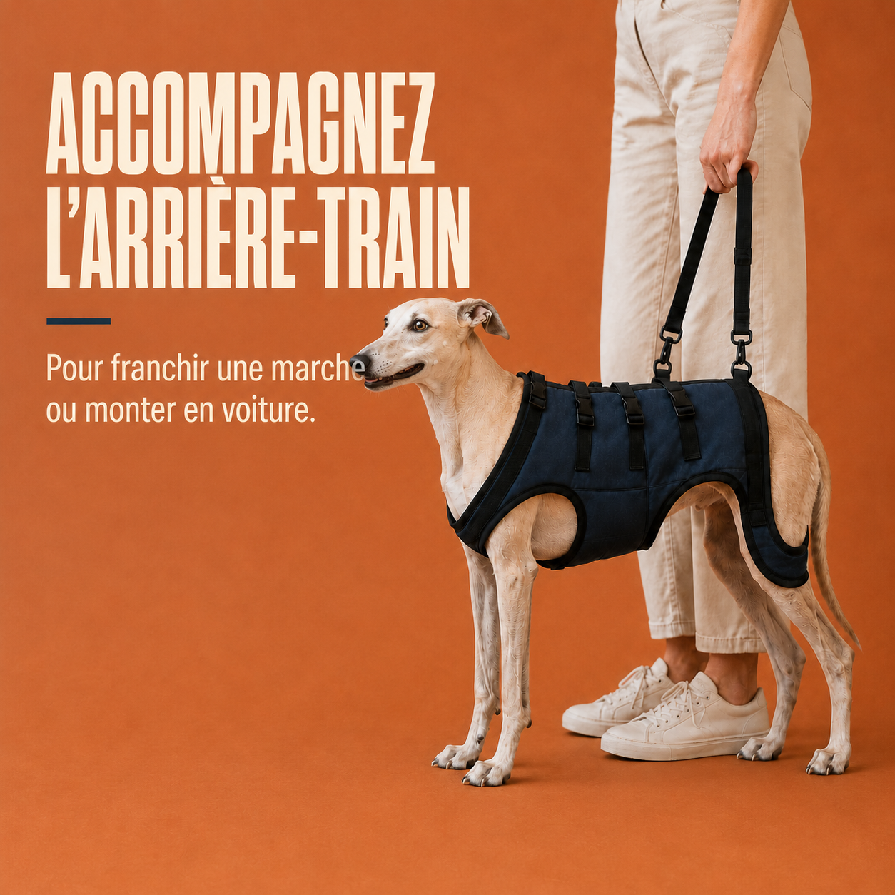 Harnais de soutien intégral pour chien – ÉlanPattes™