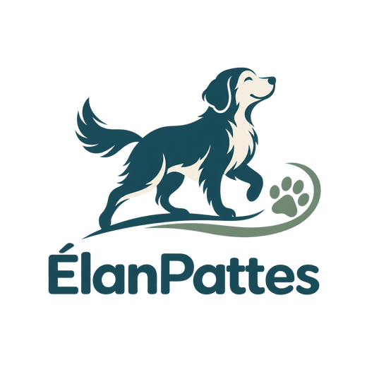 ElanPattes