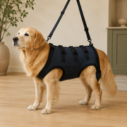 Harnais de soutien intégral pour chien – ÉlanPattes™